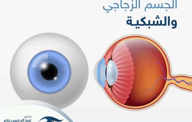 الجسم الزجاجي والشبكية - عبد الرحمن جابر